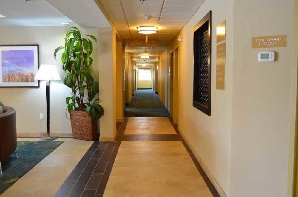 Candlewood Suites San Antonio Airport By Ihg Exterior photo